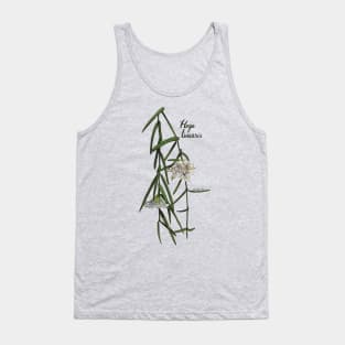 Hoya linearis in bloom Tank Top